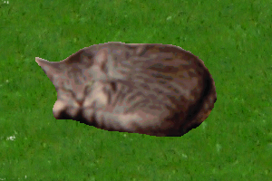 My aunt Margaret and cousin Nick's cat April