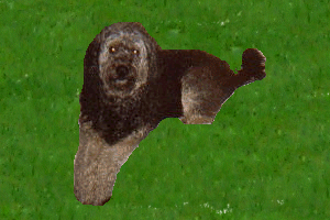 Christine's dog Fluffy