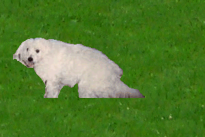 Christine's dog Cookie