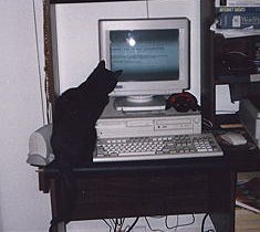 Ember at the computer