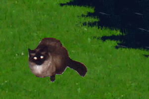 Joanie's Himalayan Sapphire